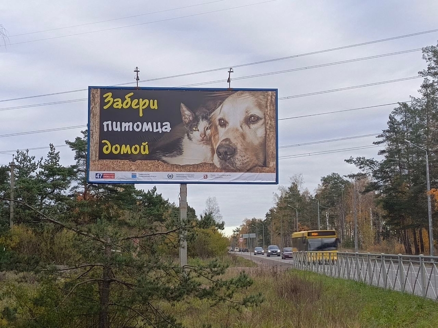 «Забери питомца домой»