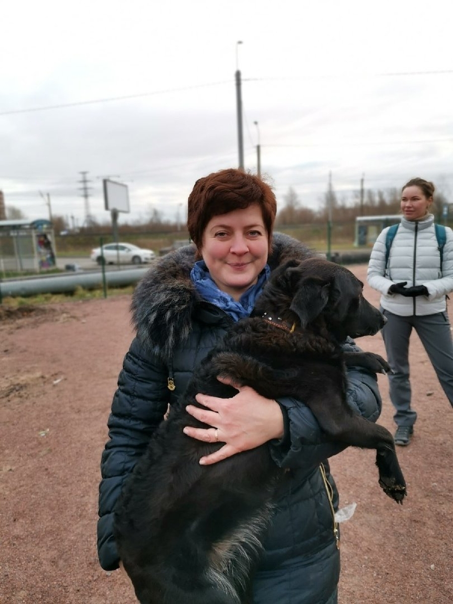 Гатчинская Служба Новостей —