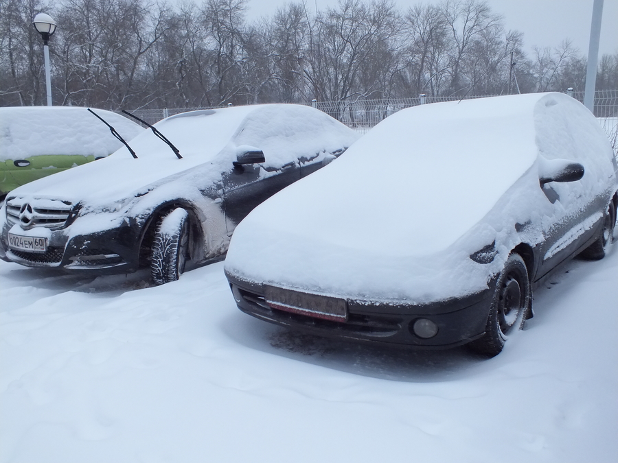 Санкт-Петербург и Ленобласть накроют снегопады