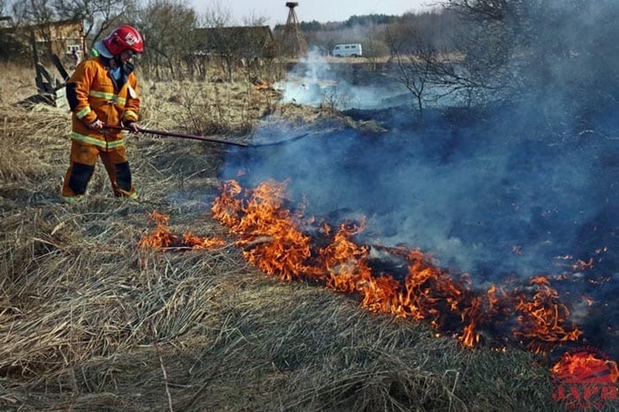 В Гатчинском районе ликвидированы очаги горящей травы