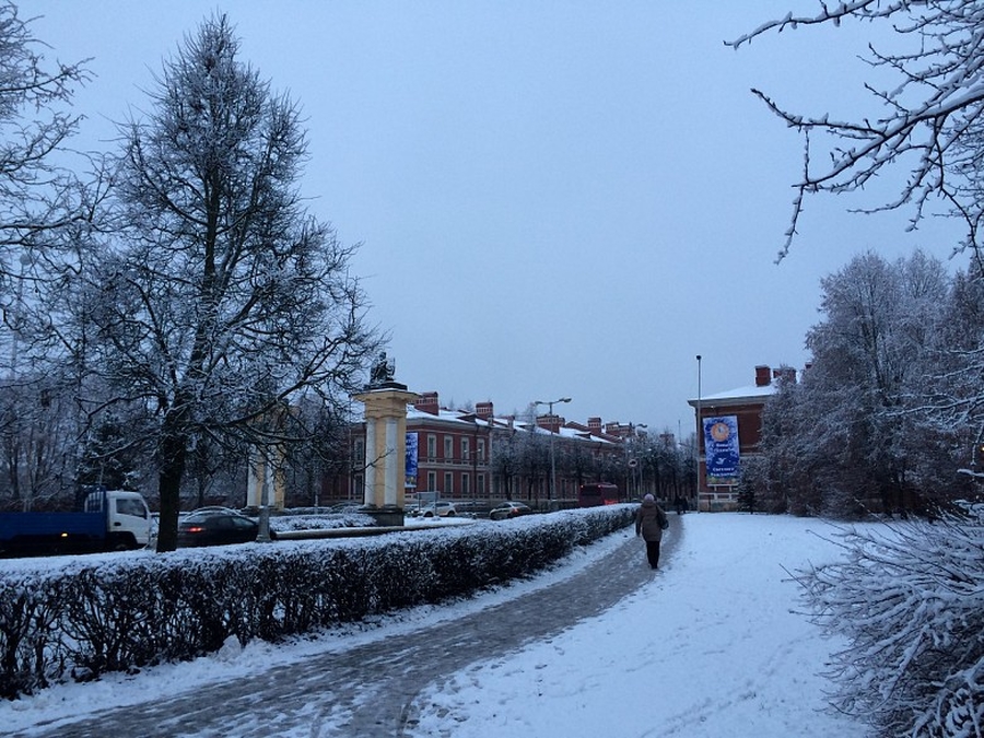 12 января в Гатчинском районе будет  ветрено и снежно
