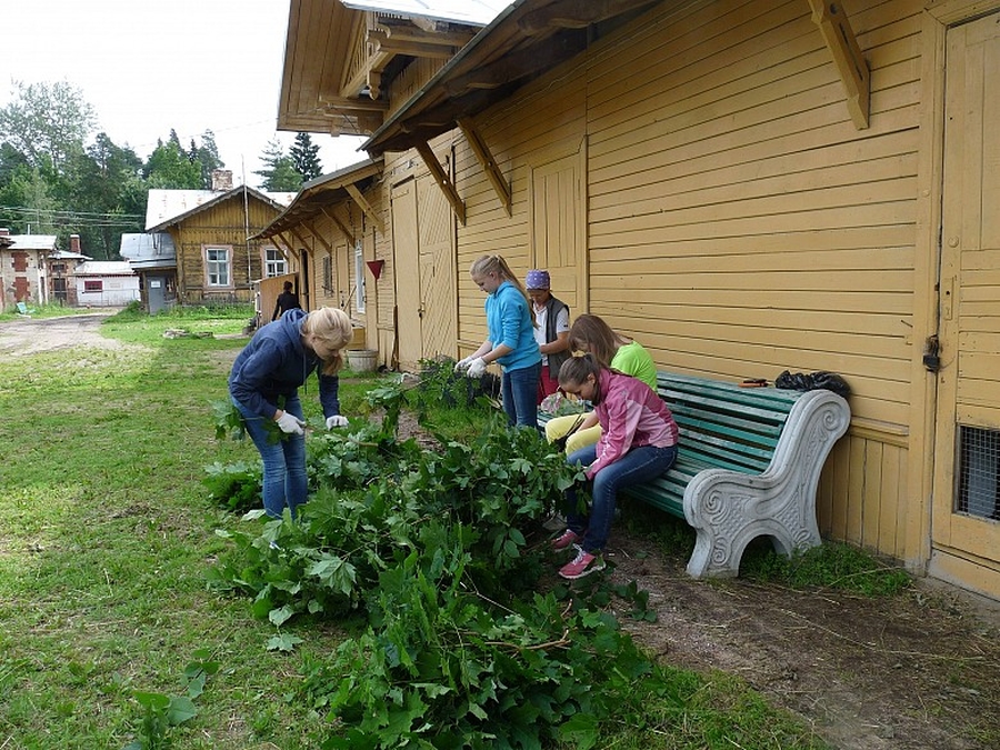 Гатчинские школьники помогают на Дворцовой Ферме