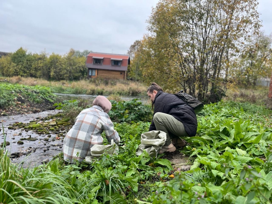 В усадьбе Штакеншнейдера приводят в порядок водяную мельницу