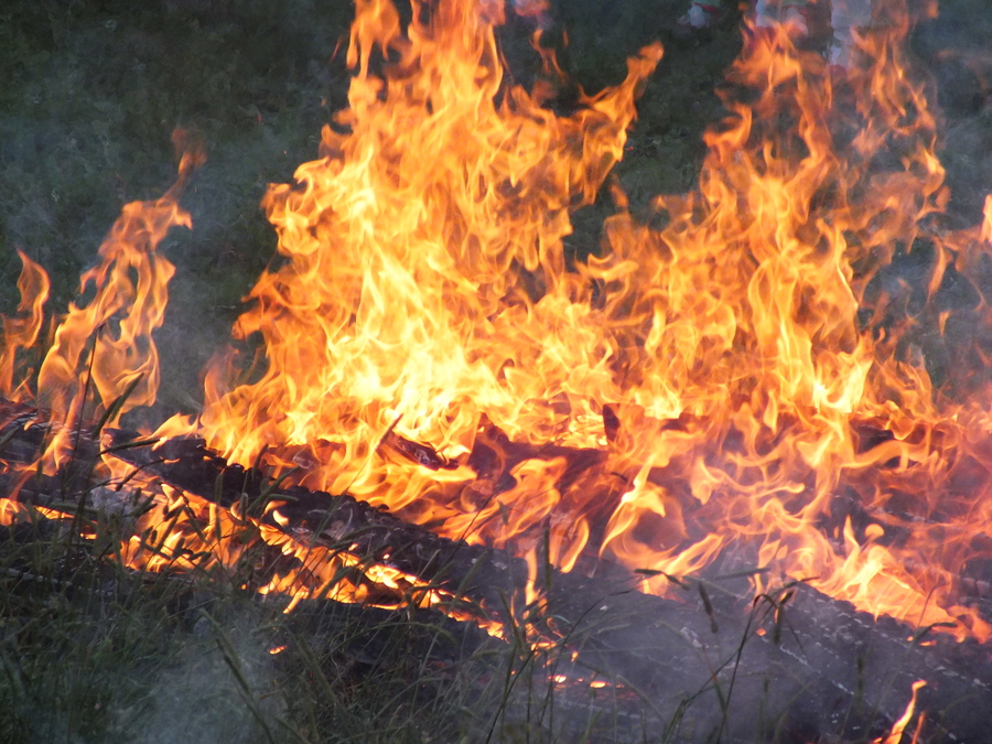 В Гатчинском районе сгорел автомобиль