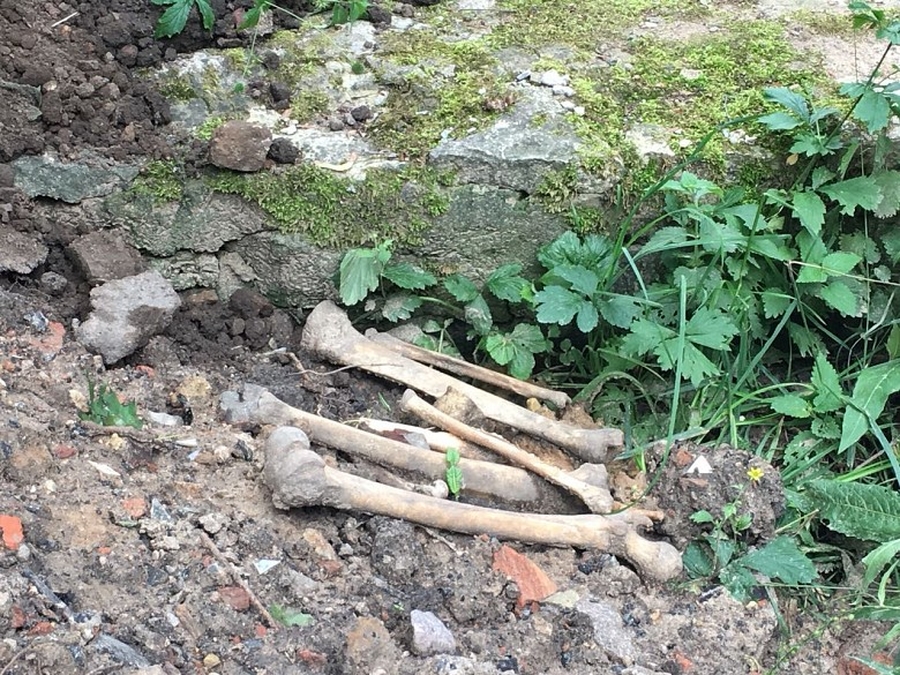 При работах на теплотрассе в Гатчине найдены человеческие кости