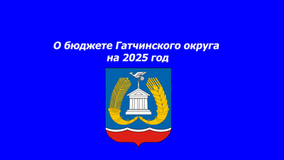 О бюджете Гатчинского округа на 2025 год