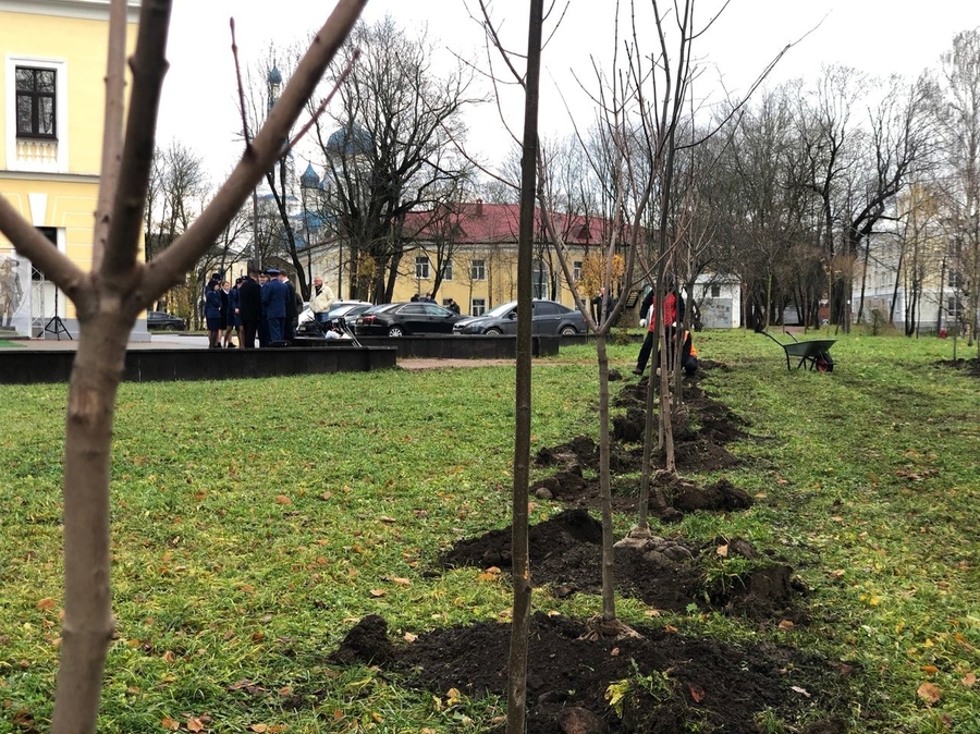 В Гатчине 300-летие прокуратуры отметили посадками деревьев