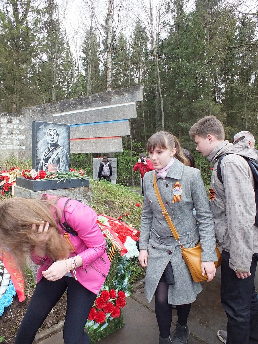 Гатчинцы почтили память защитников Ленинградского неба