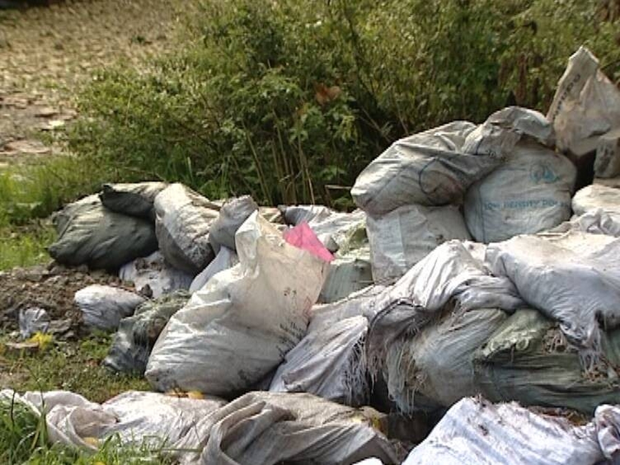 Дачники  Гатчинского района попросили главу Ленобласти помочь убрать мусор