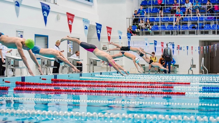 Гатчинские спортсмены - победители Первенства Ленобласти по плаванию в Киришах