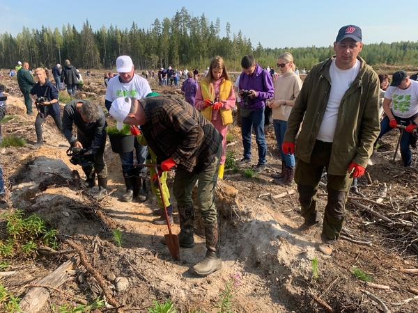 Всероссийская акция «Сохраним лес» в Орлинском лесничестве