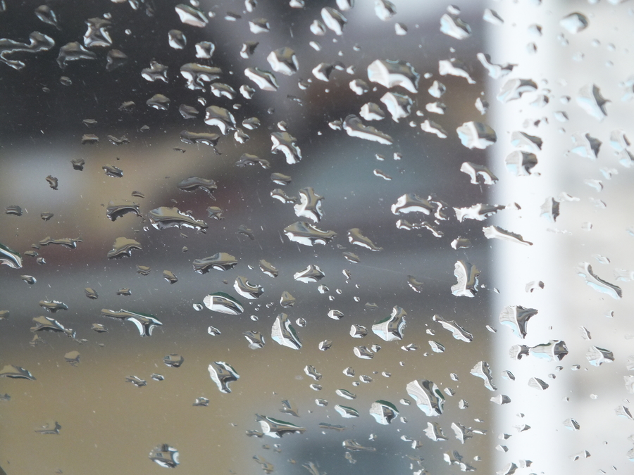 Рабочая неделя для гатчинцев начинается с дождей