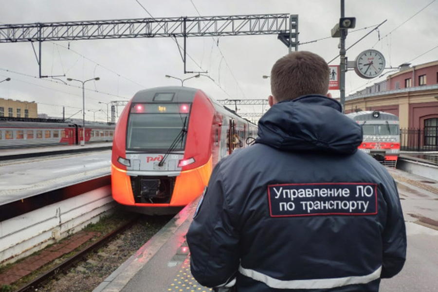 В электричках Гатчина-Петербург пройдут проверки 