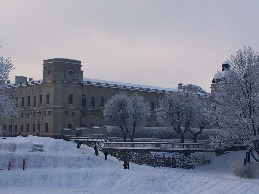 Гатчинский дворец засиял в новогодних огнях