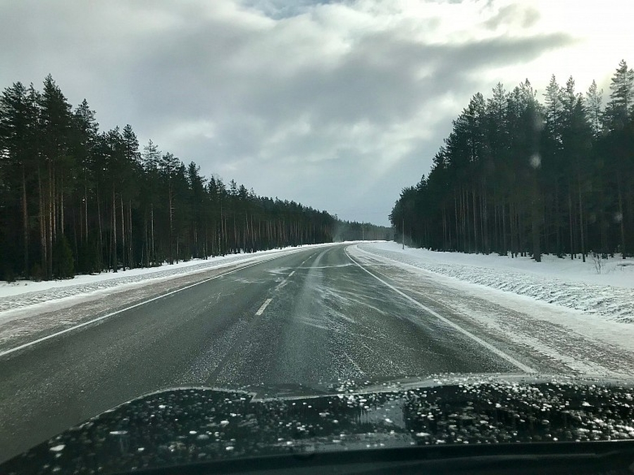 Гатчинских автомобилистов просят быть внимательными на дорогах