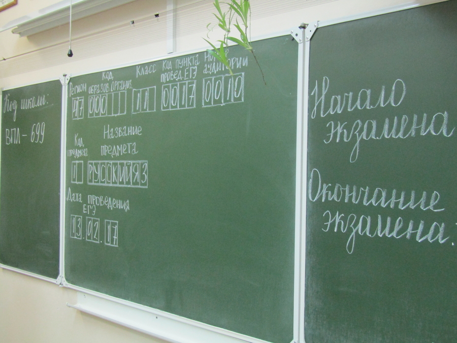 В России дан старт ЕГЭ, результаты экзаменов по литературе, географии и информатике - 17 июля