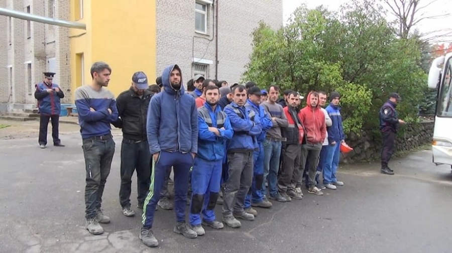 15 мигрантов незаконно жили в Гатчинском районе, один работал по поддельному документу