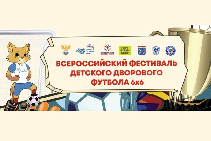 Гатчина примет финал регионального этапа «Фестиваля детского дворового футбола 6х6»
