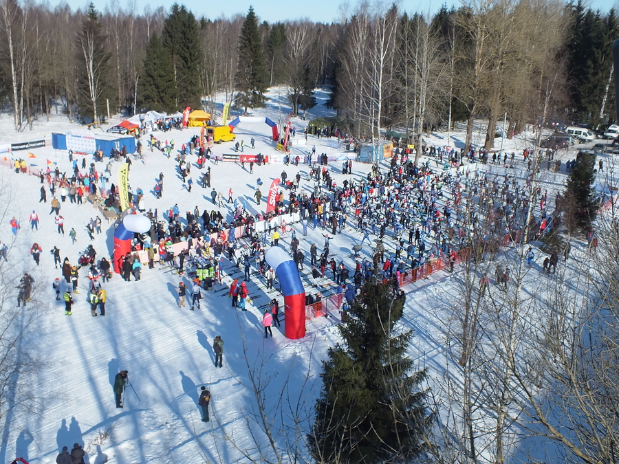 Гатчина приглашает на традиционный лыжный марафон