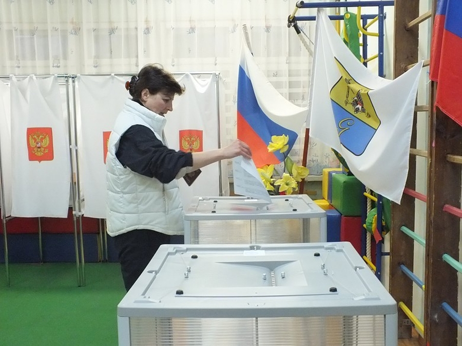 На выборы в Ленобласти выдвинулись 4374 кандидата