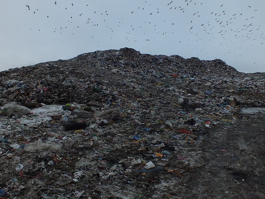 На мусорном полигоне под Гатчиной  зафиксированы нарушения
