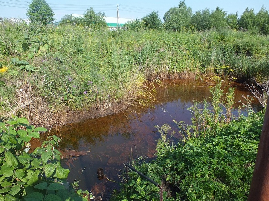 Вода в 9 родниках и колонках в Гатчинском районе не пригодна для питья