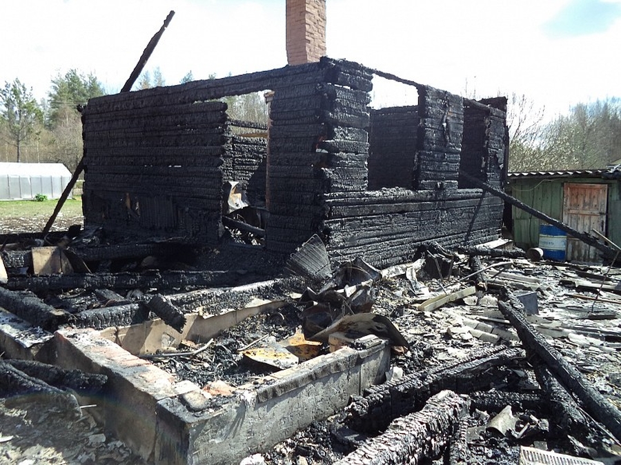 Дачники потушили пожар в садоводстве в Новинке