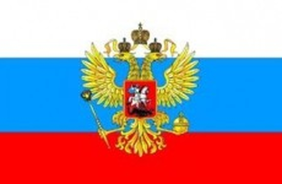 Гатчинская организация заплатит штраф 100 тыс. руб. за использование изображения  герба РФ