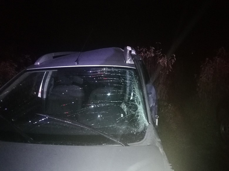 В Гатчинском районе фура всмятку раздавила легковой автомобиль