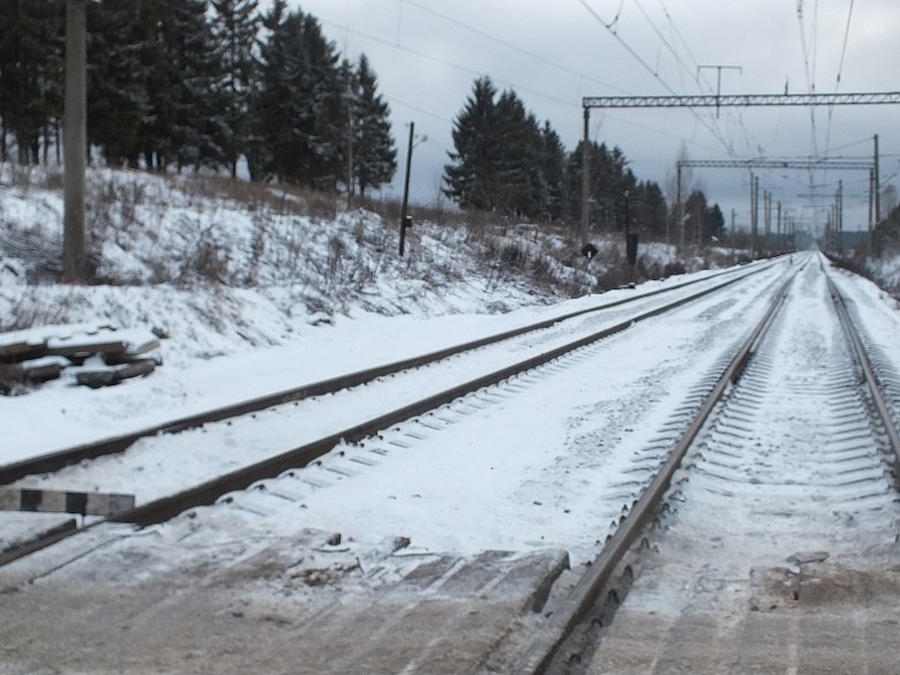 Мужчина,  попавший  под поезд в Гатчине, оказался сотрудником железной дороги