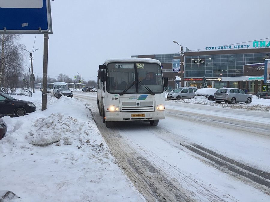 Новые автобусы: мнение жителей Гатчинского района