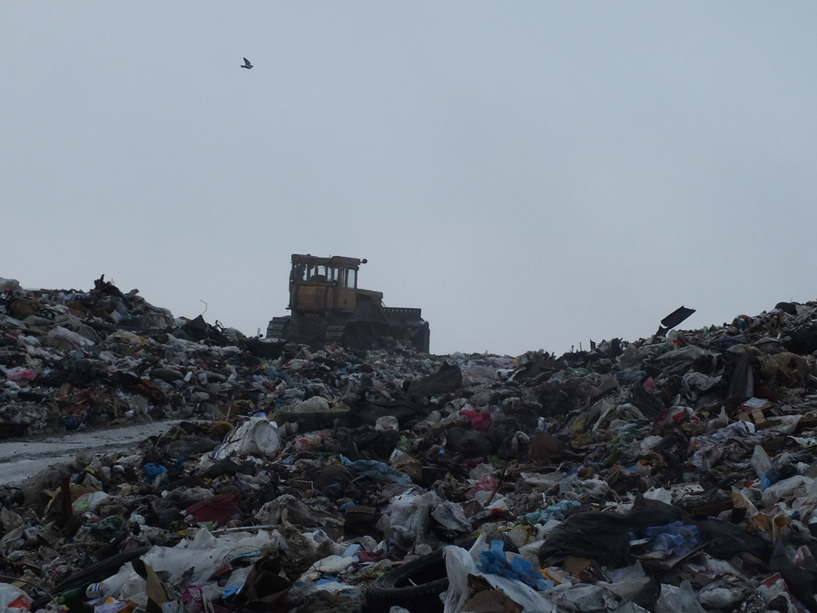 Областная прокуратура о ситуации на мусорном полигоне под Гатчиной