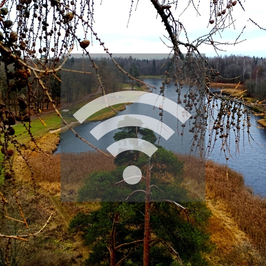 В Приоратском парке - бесплатный Wi-Fi 