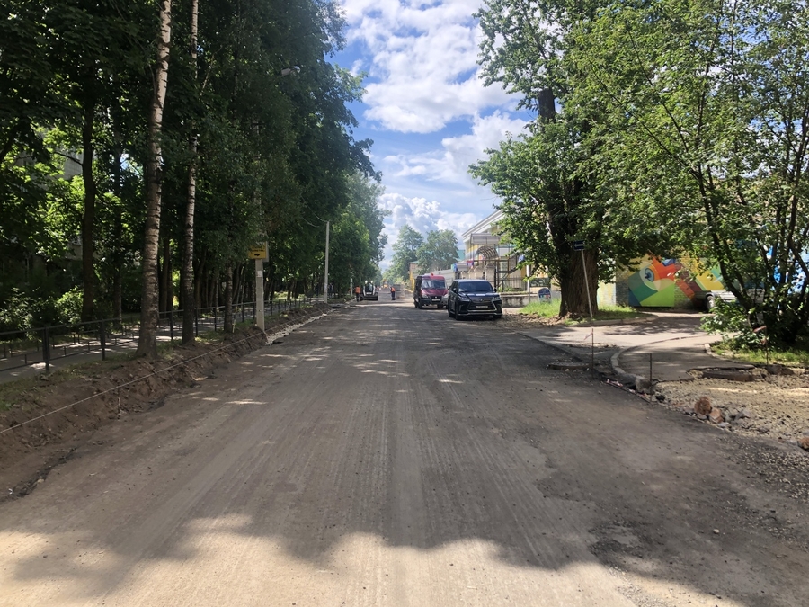 Ремонт улицы Володарского: нужен диалог с жителями о зеленых насаждениях