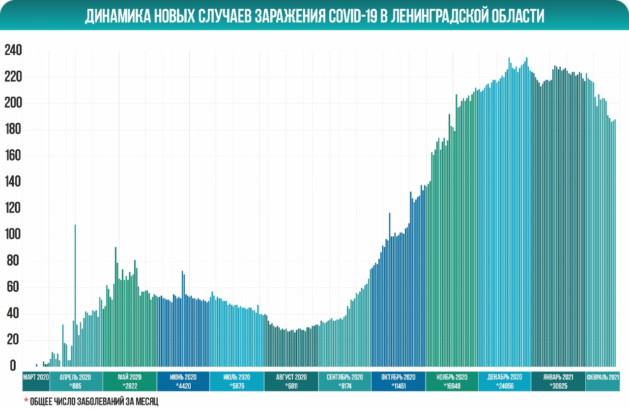 Гатчинская Служба Новостей — 19 февраля в Гатчине 19 новых случаев  коронавирусной инфекции