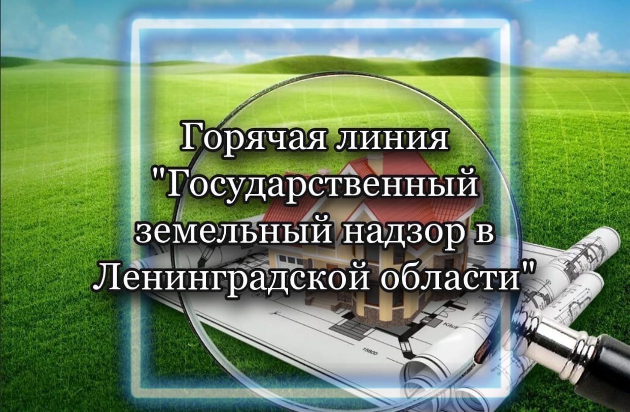 Сотрудники Росреестра ответят на вопросы гатчинцев | 22.12.2021 | Гатчина -  БезФормата