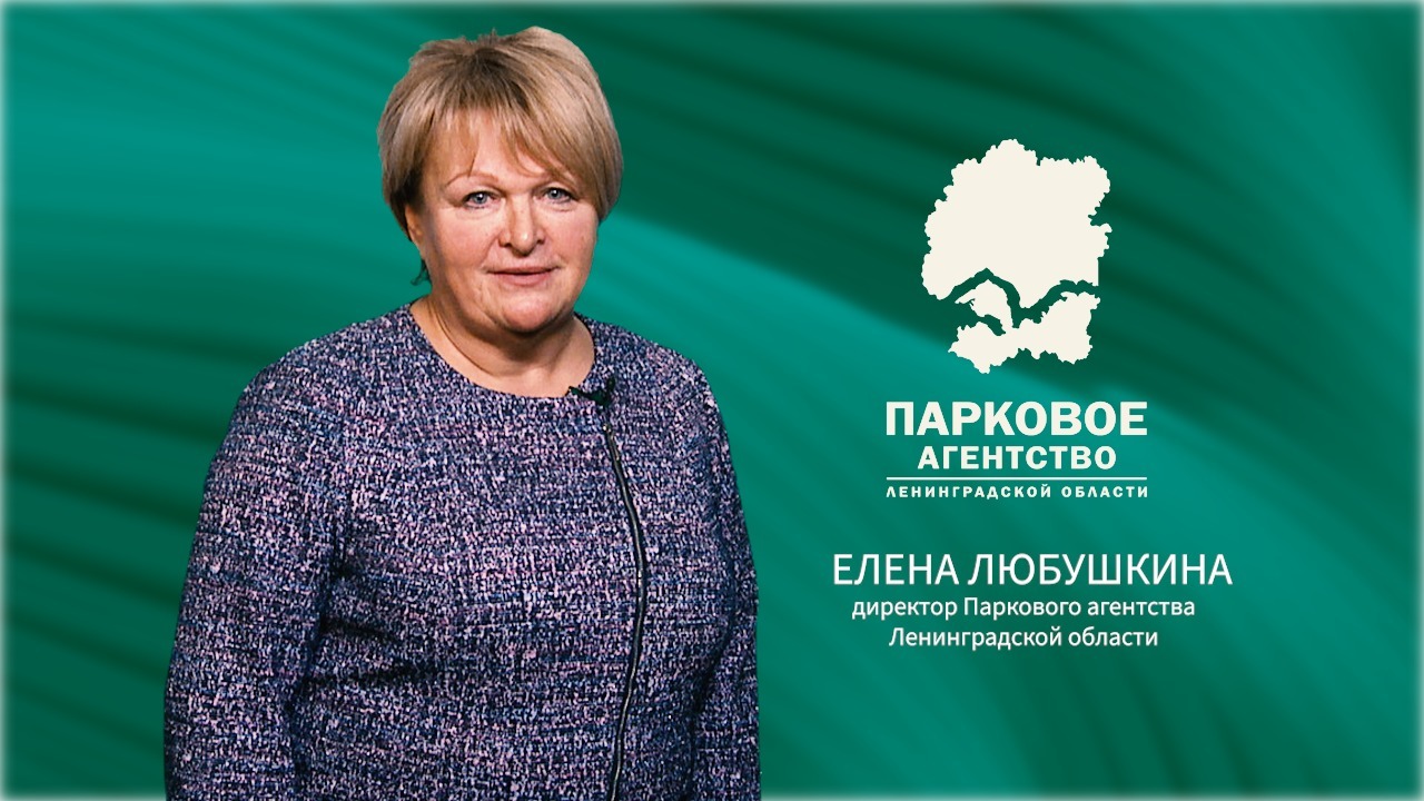 Агентство ло. Парковое агентство Ленинградской области. Фараонова Парковое агентство. Елена Любушкина Гатчина биография. Любушкина Светлана Павловна.