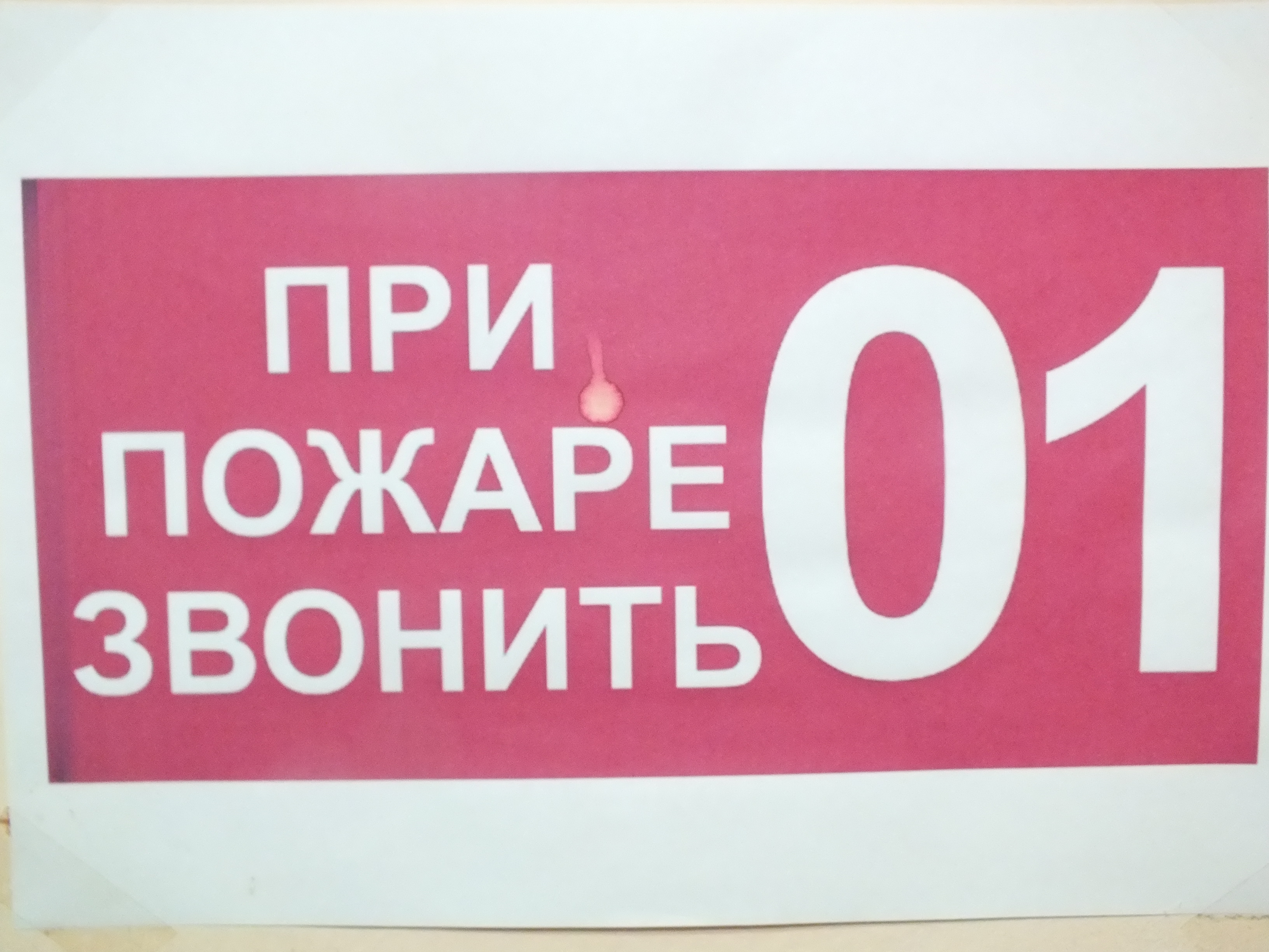 Гатчинская Служба Новостей — В Гатчинском районе пресечена попытка поджечь  жилой дом