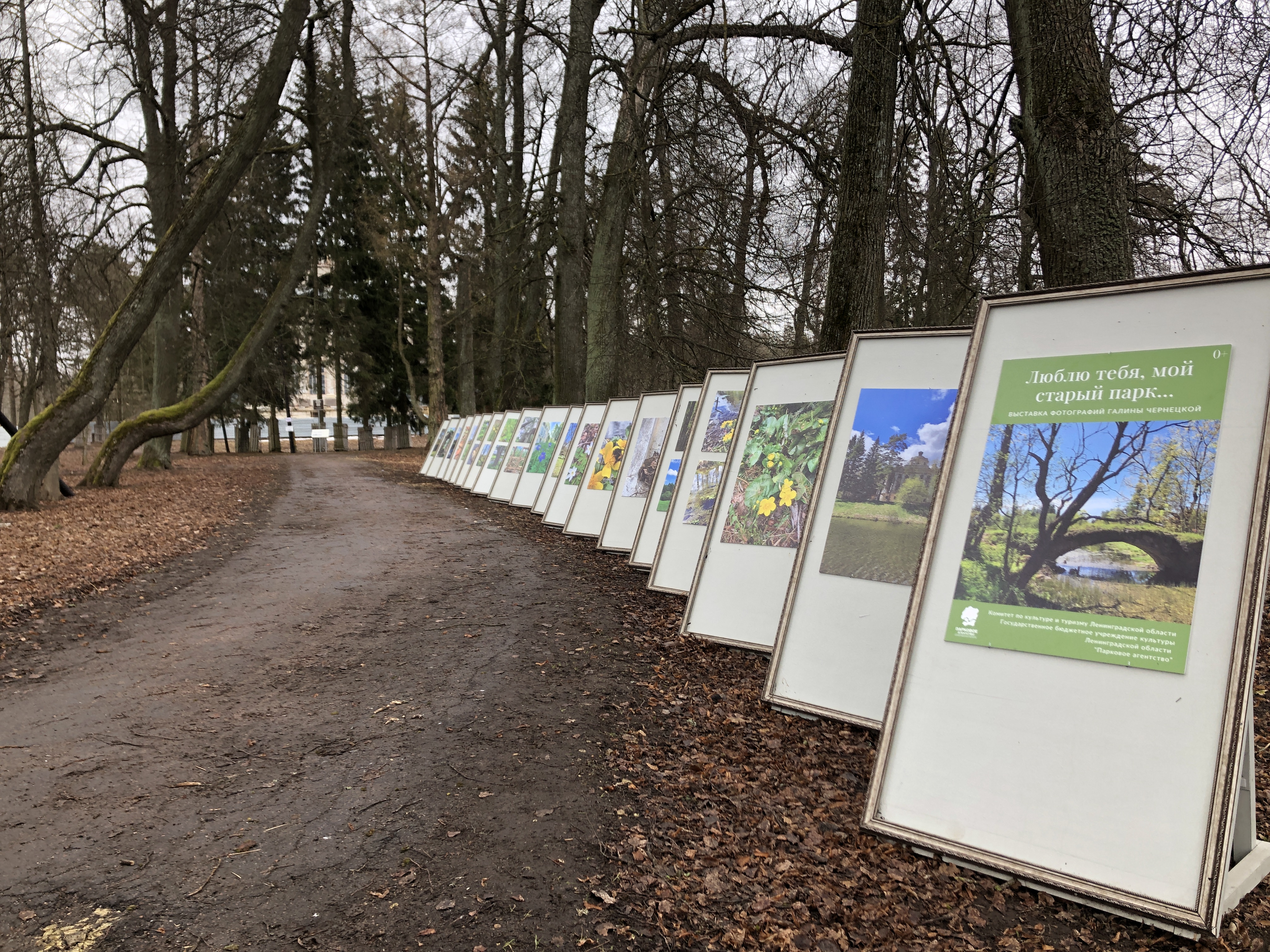 Парк выставка. Выставочные парки. Парк усадьба. Новая красивая выставка. Exhibition Park.