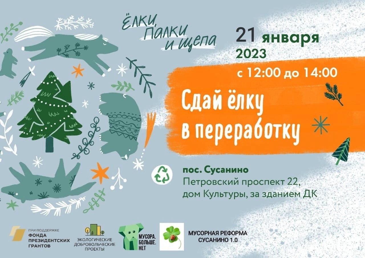 Гатчинская Служба Новостей — Жители Сусанино могут сдать елки на переработку