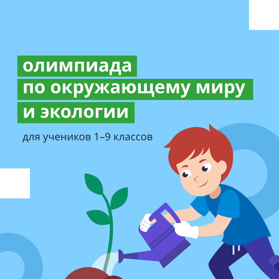 Гатчинская Служба Новостей — Онлайн олимпиада по «Окружающему миру и  экологии» приглашает школьников