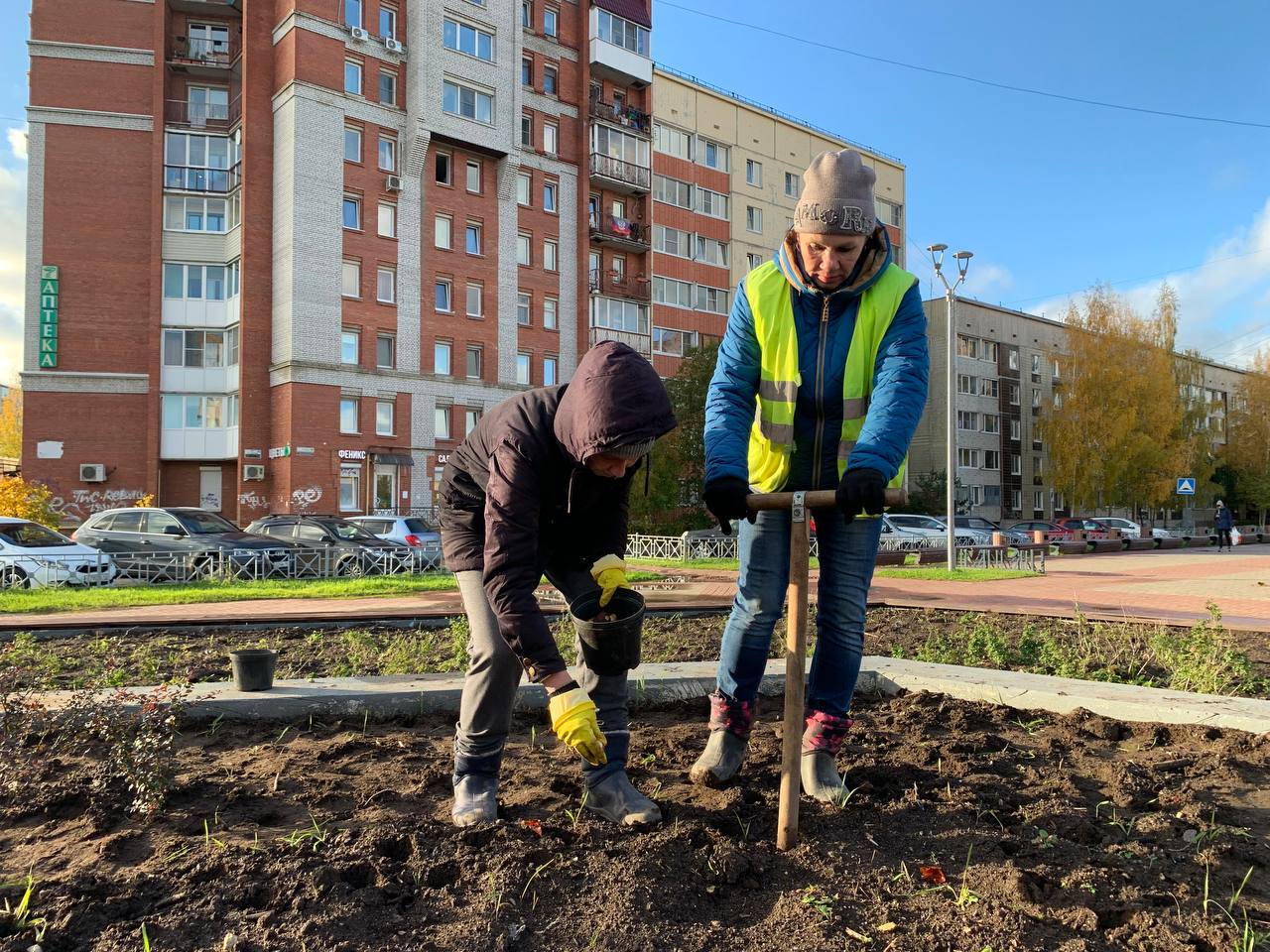 Гатчинская Служба Новостей — В Гатчине высаживают тюльпаны