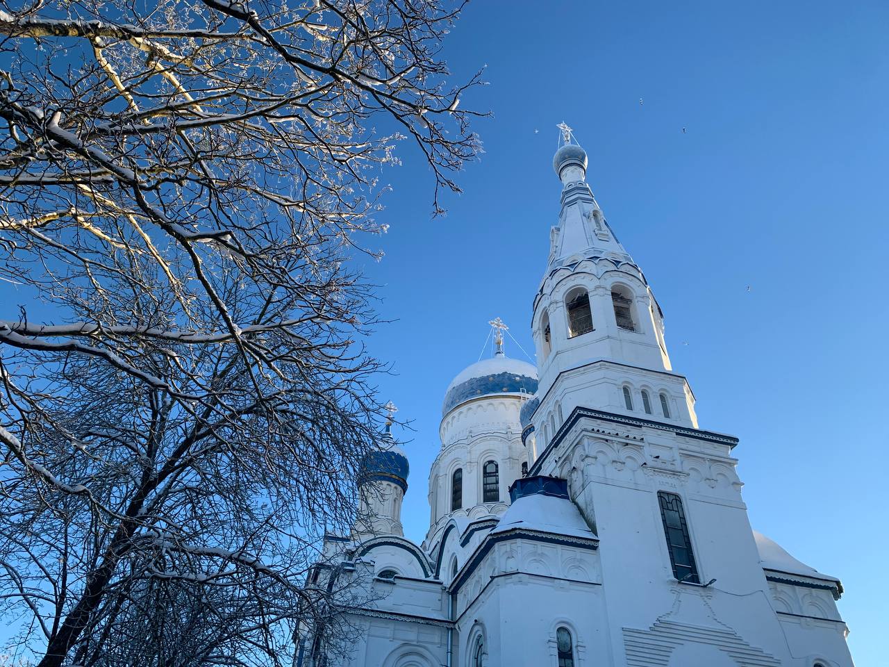 Православные гатчинцы отметили Рождество Христово | 09.01.2024 | Гатчина -  БезФормата