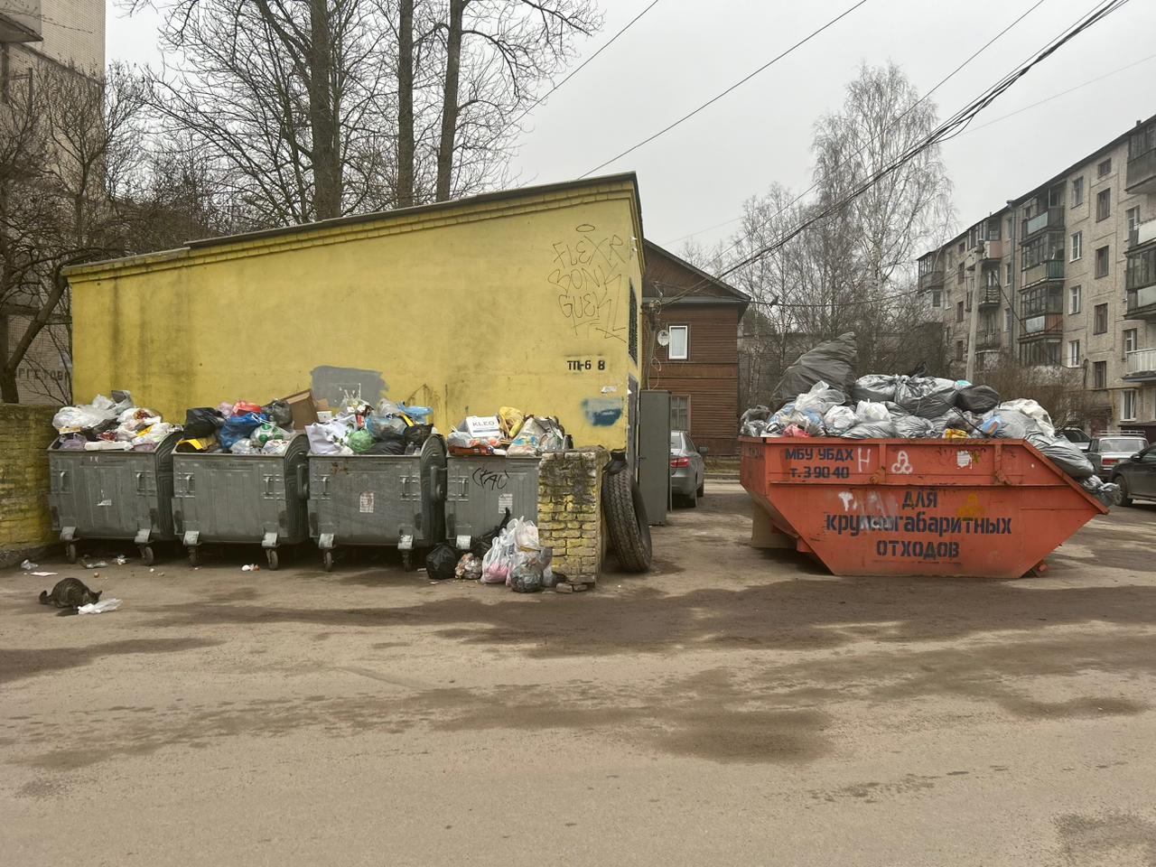 Мусорный коллапс в Гатчине | 02.04.2024 | Гатчина - БезФормата