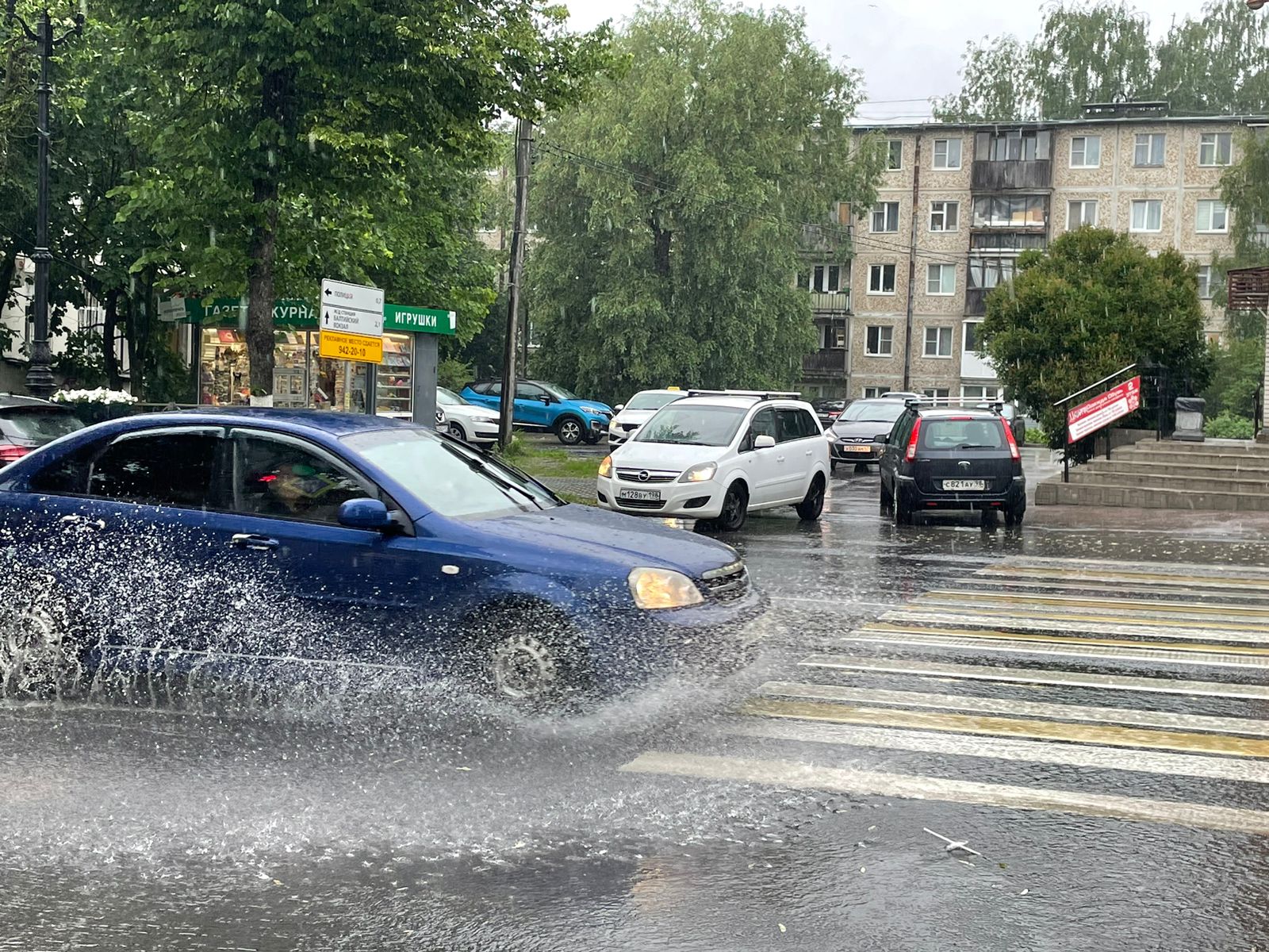 Дождливая погода сохранится в Гатчине в четверг | 20.06.2024 | Гатчина -  БезФормата