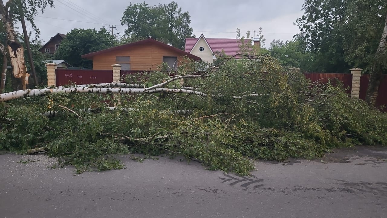 Работы по устранению последствий урагана в Гатчине продолжаются |  02.07.2024 | Гатчина - БезФормата