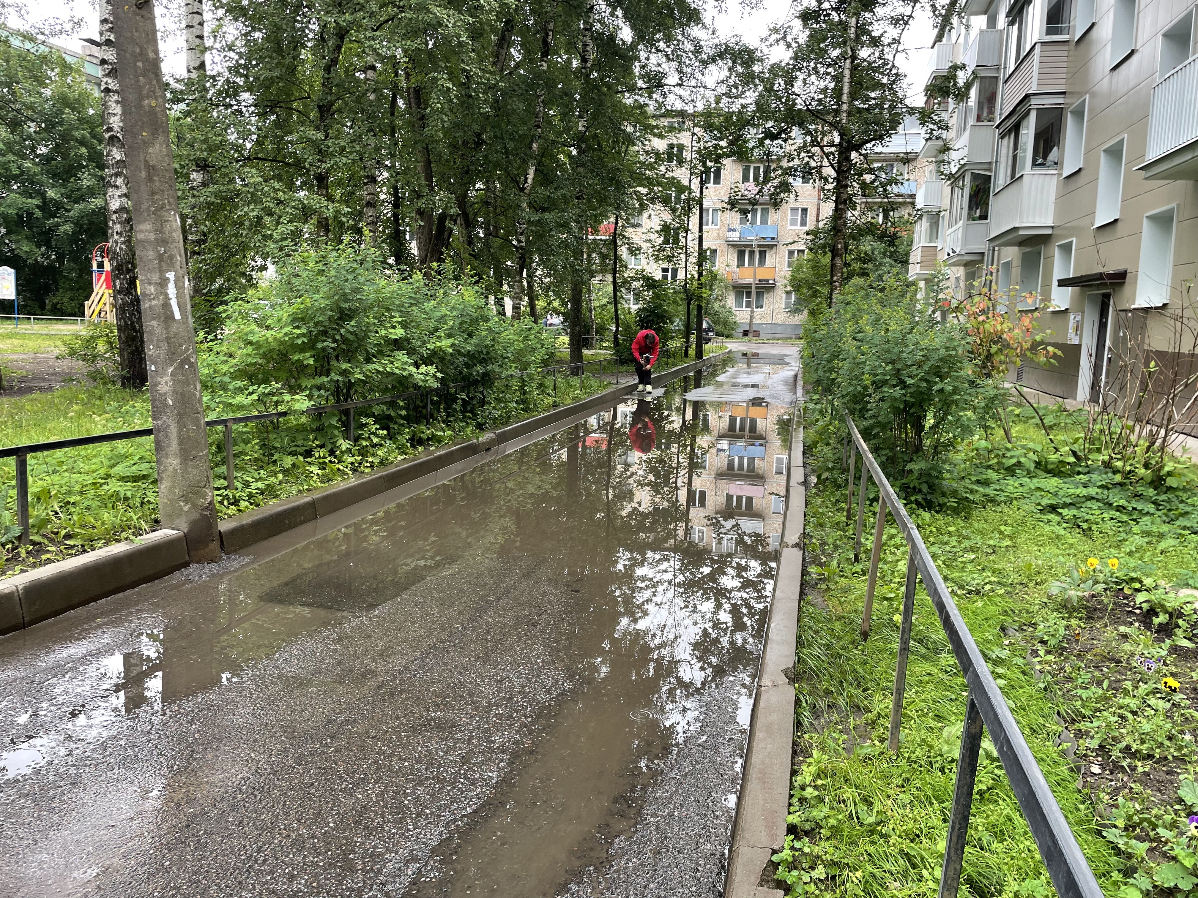 Жильцы дома на Радищева, 12 пожаловались на лужу | 08.07.2024 | Гатчина -  БезФормата