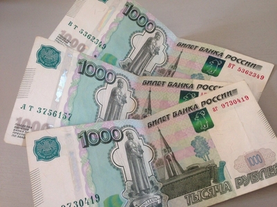 В Ленобласти выплаты людям составили 29 млрд рублей